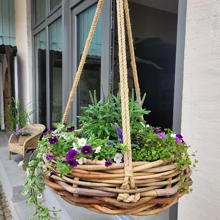 Hoefchen * Stadecken-Elsheim