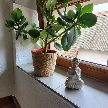 Hoefchen Stadecken-Elsheim