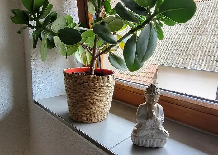 Hoefchen Stadecken-Elsheim